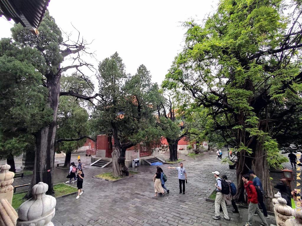 PEKIN-TEMPLE DE CONFUCIUS ACADEMIE IMPERIALE (6).jpg